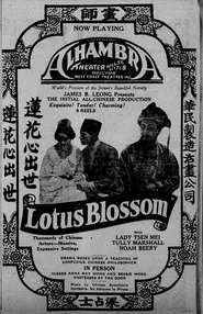 Poster do filme Lotus Blossom