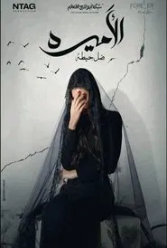 The Princess: Shadow of A Wall tv show poster