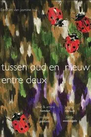 Tussen oud en nieuw / entre deux movie poster