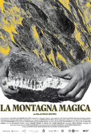 Poster do filme La montagna magica