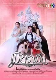 Wife on Duty tv show poster