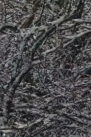 A Full Life movie poster