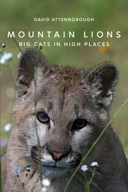 Poster do filme Mountain Lions: Big Cats in High Places