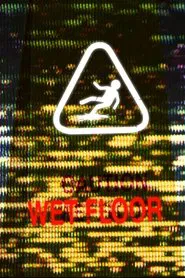 Poster do filme Wet Floor
