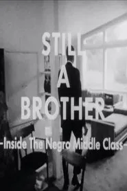 Still A Brother: Inside the Negro Middle Class movie poster