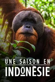 Une saison en Indonésie tv show poster