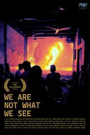 We Are Not What We See movie poster