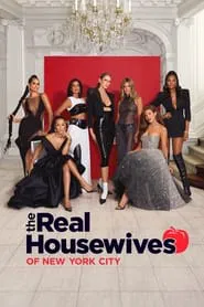 The Real Housewives of New York City tv show poster