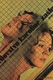 The Widowhood of Karolina Žašler movie poster