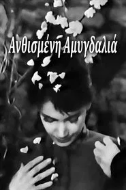 Poster do filme Blossoming Almond Tree