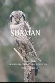 The Shaman movie poster