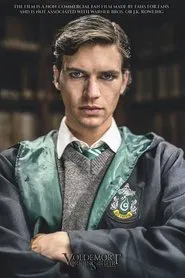 Poster do filme Voldemort: Origins of the Heir