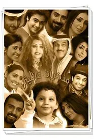 Very Family Diaries tv show poster