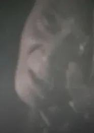 Poster do filme Self-Portrait