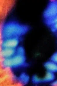 Girasoles movie poster