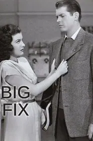 The Big Fix movie poster