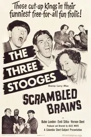 Scrambled Brains movie poster