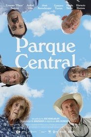 Parque Central movie poster