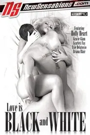 Love Is Black and White movie poster