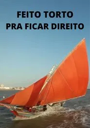 Feito Torto pra Ficar Direito movie poster