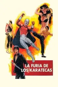 The Fury of the Karate Experts movie poster