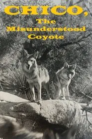 Chico, the Misunderstood Coyote movie poster