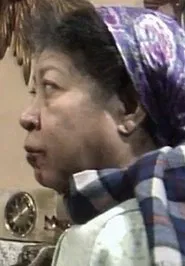 Just like Mohicans movie poster