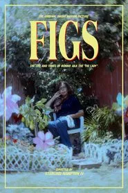 Figs movie poster