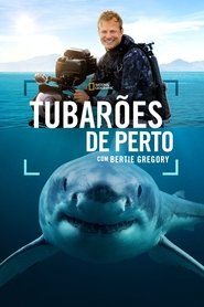 Poster do filme Tubarões de Perto com Bertie Gregory
