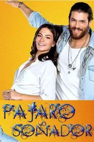 Daydreamer tv show poster