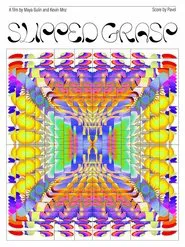 Slipped Grasp movie poster