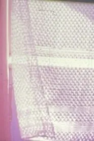 Poster do filme The Wind Variations