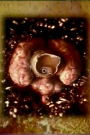 Sketchbook I movie poster