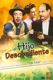 Poster do filme The Naughty Son