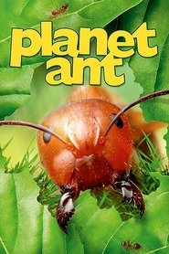 Planet Ant: Life Inside The Colony movie poster