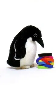 LITERAL WORLD LIVE TOUR / KISIDA KYODAN & THE AKEBOSI ROCKETS movie poster