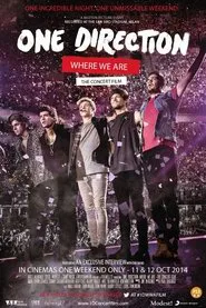One Direction: Where We Are - The Concert Film movie poster