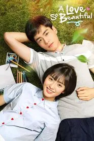 A Love So Beautiful tv show poster