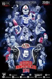 AAA Héroes Inmortales XIII movie poster