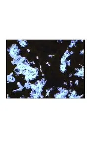 What The Water Said, Nos. 4-6 movie poster