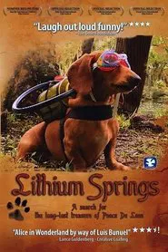 Lithium Springs movie poster