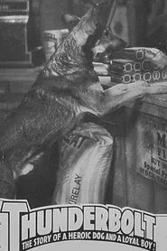 Thunderbolt movie poster