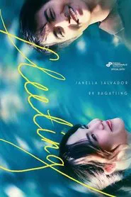 Fleeting movie poster