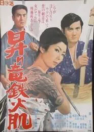 Rising Dragon: Red-Hot Iron Skin movie poster