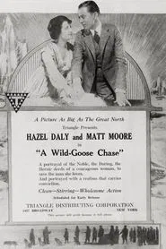 A Wild Goose Chase movie poster