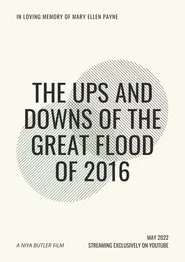 Poster do filme The Ups and Downs of the Great Flood of 2016