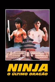 Poster do filme Ninja, o Último Dragão