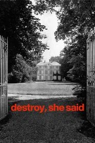 Destroy, She Said movie poster