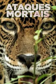 Poster da série Ataques Mortais