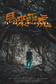 A Misfit Tiger movie poster